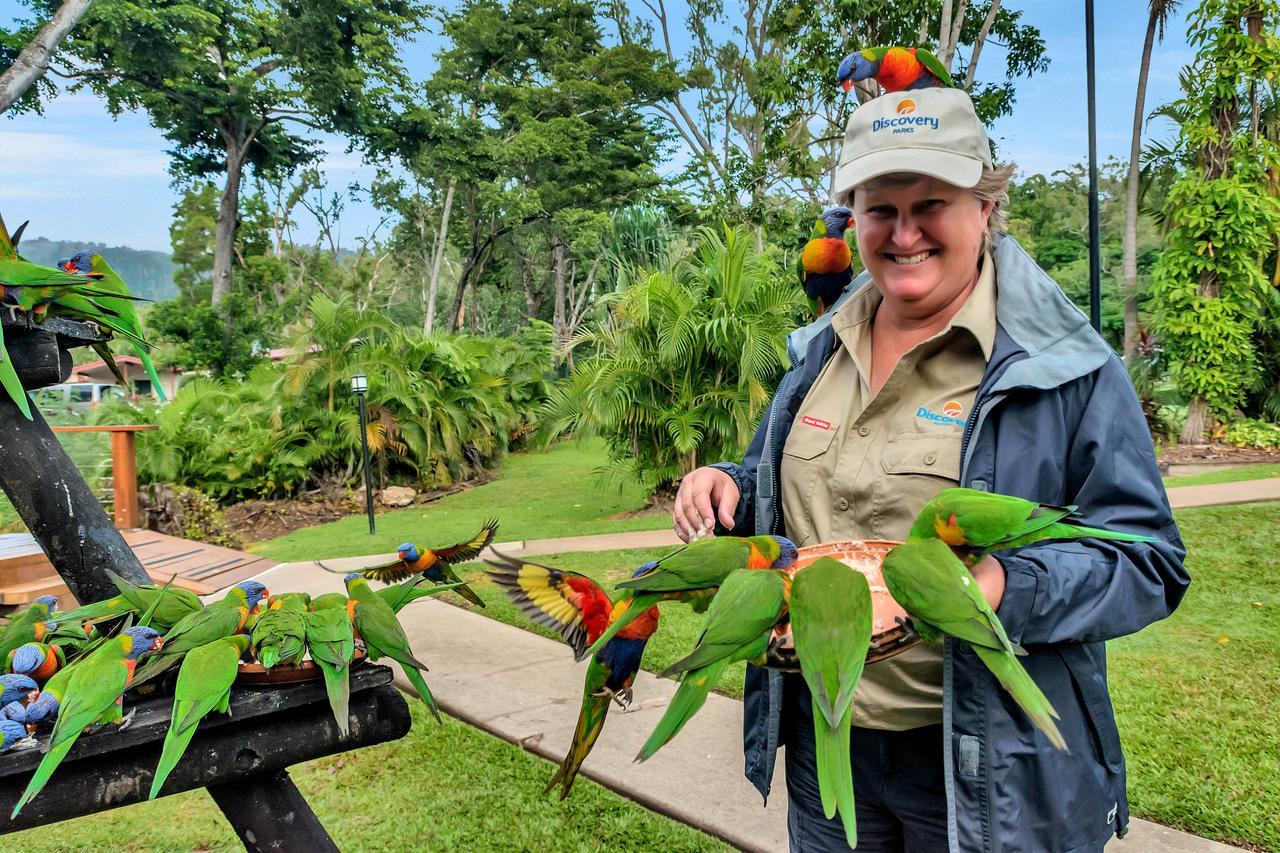 Discovery Parks - Airlie Beach Esterno foto