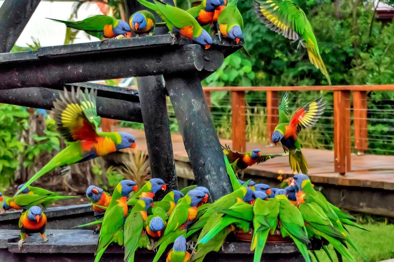 Discovery Parks - Airlie Beach Esterno foto